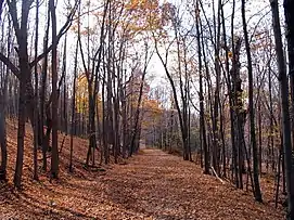 The paved, blue-blazed trail