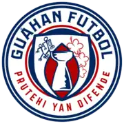 Shirt badge/Association crest