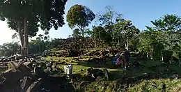 Gunung Padang Megalithic Site