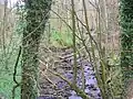 The Hag Burn at Jocklan Bridge near Galston.