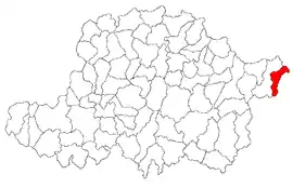 Location in Arad County