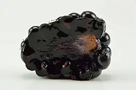 Halved blackberry with present torus