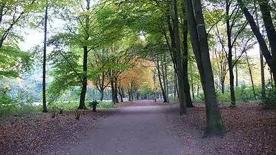 Pathway and meadows