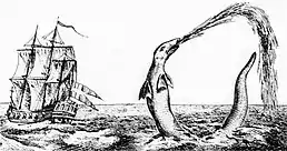 Sea serpent reported by Hans Egede in 1734, probably a giant squid