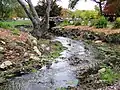 A creek within the park.