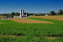 A farm in the township