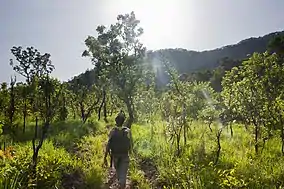 Kyabobo National Park near the border with Togo