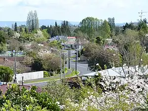 A neighbourhood in Hillcrest, Hamilton