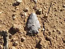 Prehistoric stone arrowhead in situ.