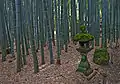 Stone lantern in the bamboo forest