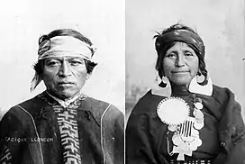 Image 15A Mapuche man and woman; the Mapuche make up about 85% of Indigenous population that live in Chile. (from Indigenous peoples of the Americas)