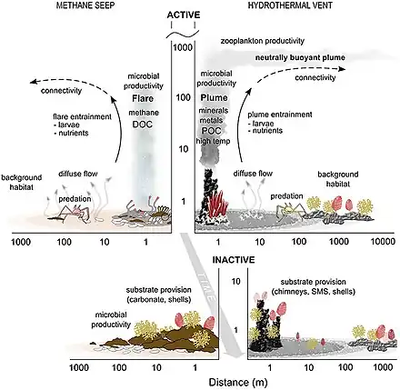 Image 13Seep and vent interactions with surrounding deep-sea ecosystems. The y axis is meters above bottom on a log scale. DOC: dissolved organic carbon, POC: particulate organic carbon, SMS: seafloor massive sulfide. (from Marine food web)