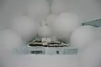 Snowball room