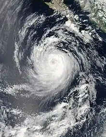 A visible satellite image of a well-organized hurricane with a large eye.