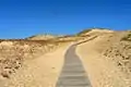 Image 8Sand dunes in the Curonian Spit