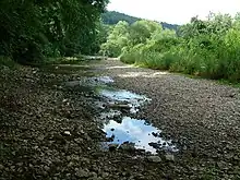 The nearly dried-out river bed of the Danube at the Danube seepage.