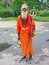 Sadhu in India.