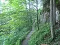 Indian Ladder Trail, the path through the wooded area