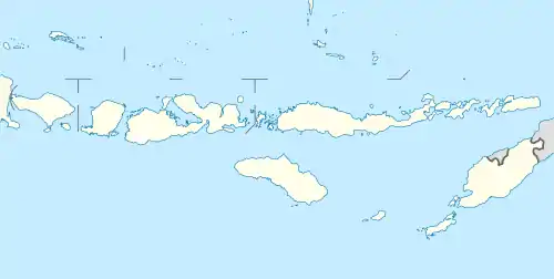 East Flores Regency is located in Lesser Sunda Islands