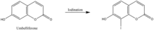 Iodination of Umbelliferone.