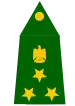 Iraqi brigadier general