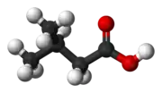 Ball-and-stick model of 3-methylbutanoic acid