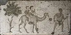 Dromedary ride