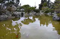 Koi fish in the upper pond