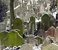 Jewish Cemetery