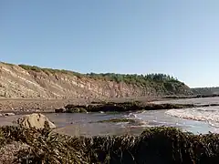 The fossil cliffs at Joggins