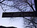 Street sign marking a street named after a famous Ukrainian religious leader