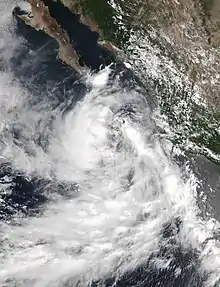 Tropical Storm Jova near peak intensity on August 11, 2017