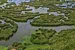 Partial panoramic view of Prokopos Lagoon within Strofylia Forrest, near Araxos village, Kalogria Village, Kalogria beach and Araxos Cape in Western Achaia, Greece.