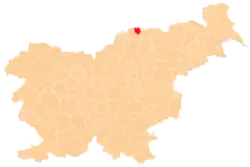 Location of the Municipality of Muta in Slovenia