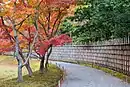 Exterior wall made of bamboo