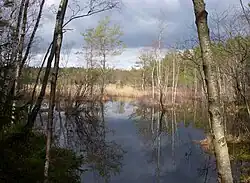 View of lake