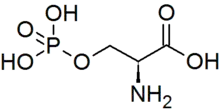 Skeletal formula