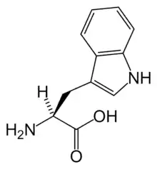 L-Tryptophan(Trp / W)