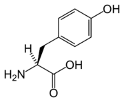 Tyrosine