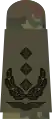 Aufschiebeschlaufe Feldanzug Dienstanzug Luftwaffenuniformträger Oberst