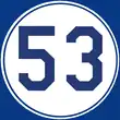 53