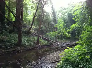 La Honda Creek at Play Bowl.