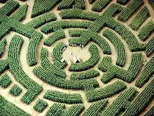 Image 7Labyrinth maze of Barvaux, Durbuy, Belgium (from List of garden types)