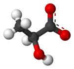 Ball-and-stick model of the lactate anion