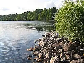 View of Lake Phelps