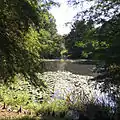 Lake Lena and the wetlands garden