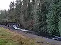 Small stream in a forest flowing below an old wooden dam