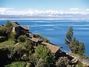 Titicaca Lake near La Paz with the Andes in the background