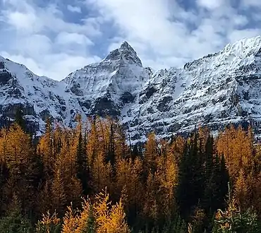 Allen from Larch Valley