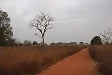 This shows a laterite road near Kounkane, Upper Casamance, Senegal. It resembles a red graveled road.